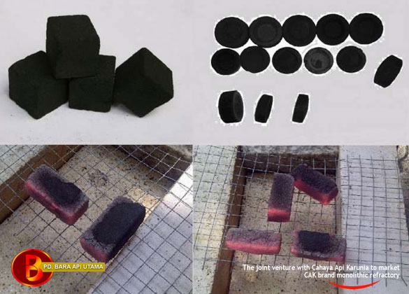 CoconutShell Charcoal Shisa Briquettes